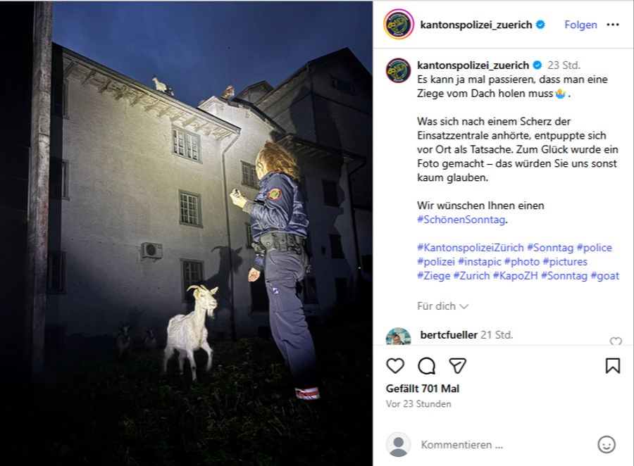 Ziege Dach Kantonspolizei Zürich