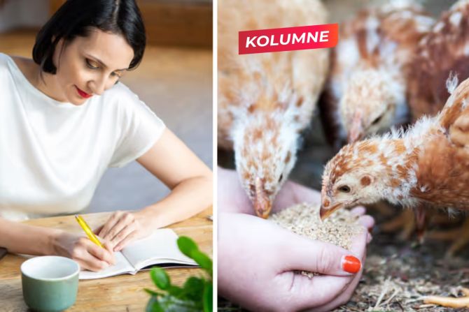walser kolumne