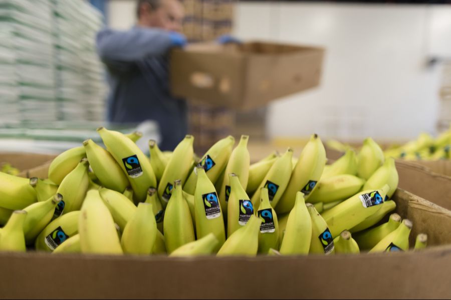 Durch den Klimawandel werden die Bedingungen in der Schweiz geeigneter für den Anbau von Bananen. (Symbolbild)