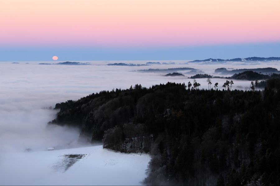 Besonders die Nebelgrenze – wie hier auf dem Bantiger – wurde von den Webcam-Usern gerne gecheckt.