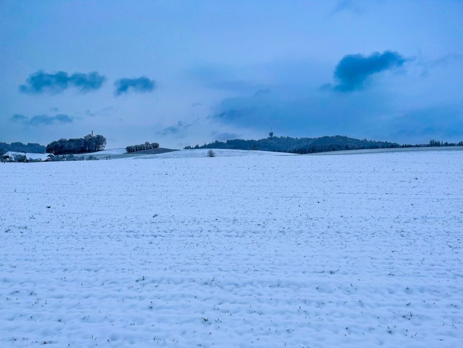 Eine herrliche Winterlandschaft im Moos bei Köniz.