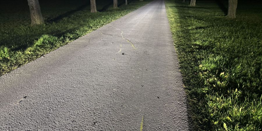 Unfallstelle Näfels