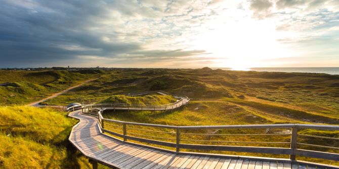 Bohlenweg Dünen Gras Meer