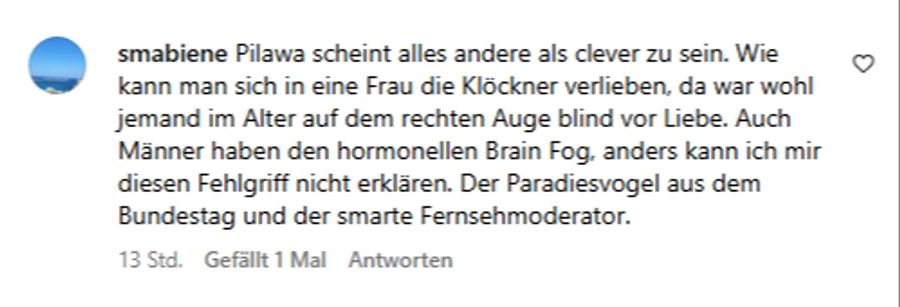Einem Nutzer scheint das Thema nahezugehen: Er verweist auf den, laut ihm, «hormonellen Brainfog». (Screenshot)