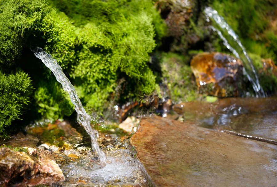 quellwasser
