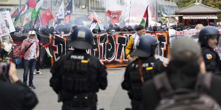kantonspolizei bern palästina demo