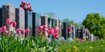 Friedhof Grabsteine Blumen Gras