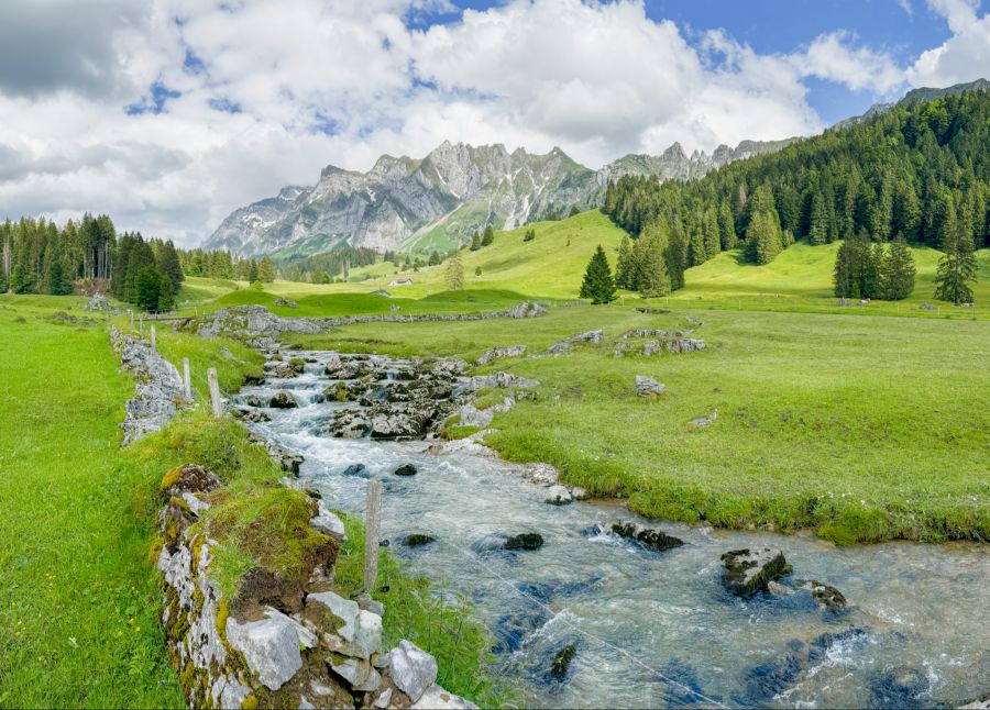 Alpstein Risipass Wanderung