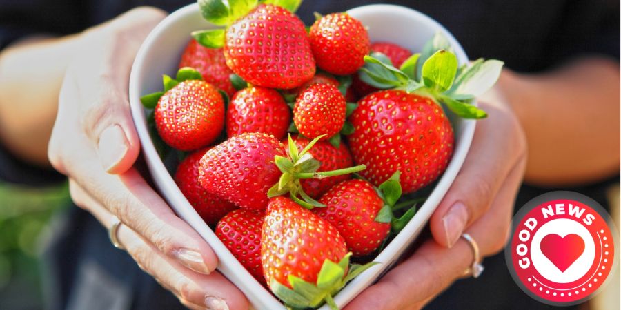 Erdbeeren Herz Gehirn Wirkung