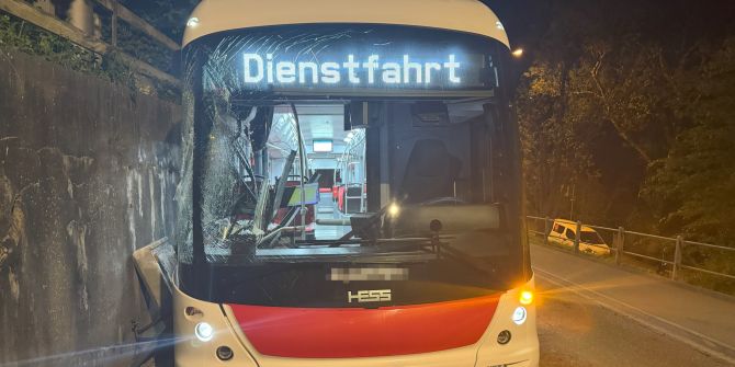 Buschauffeur