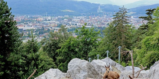 Innsbruck