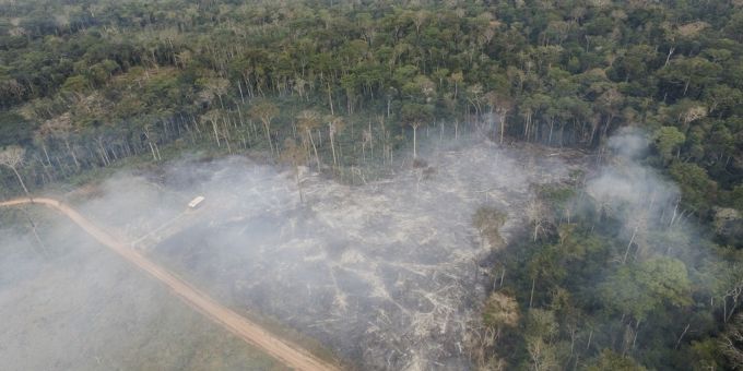 Die Entwaldung in Brasilien ist weiter zurückgegangen. brasilien entwaldung