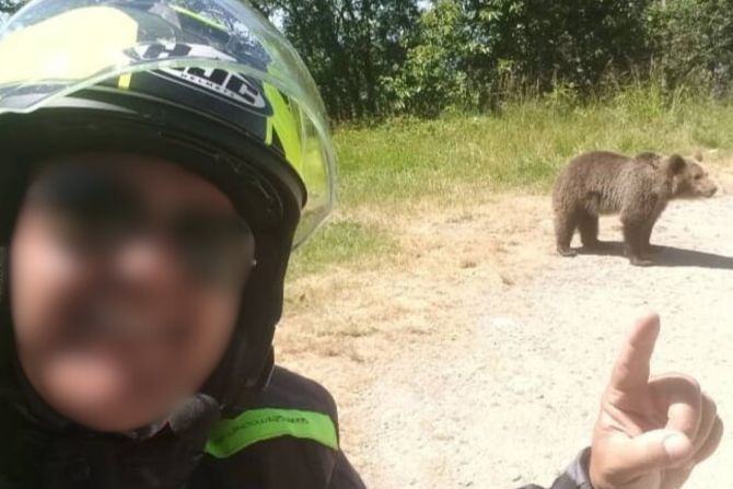 Bär