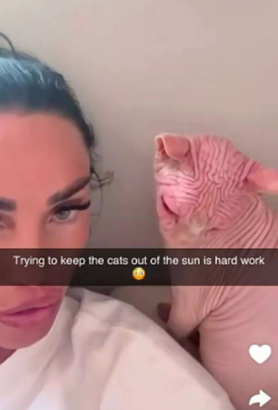 Katie Price