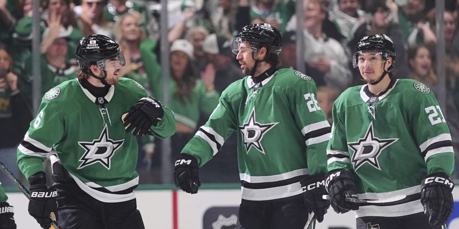 Dallas Stars NHL