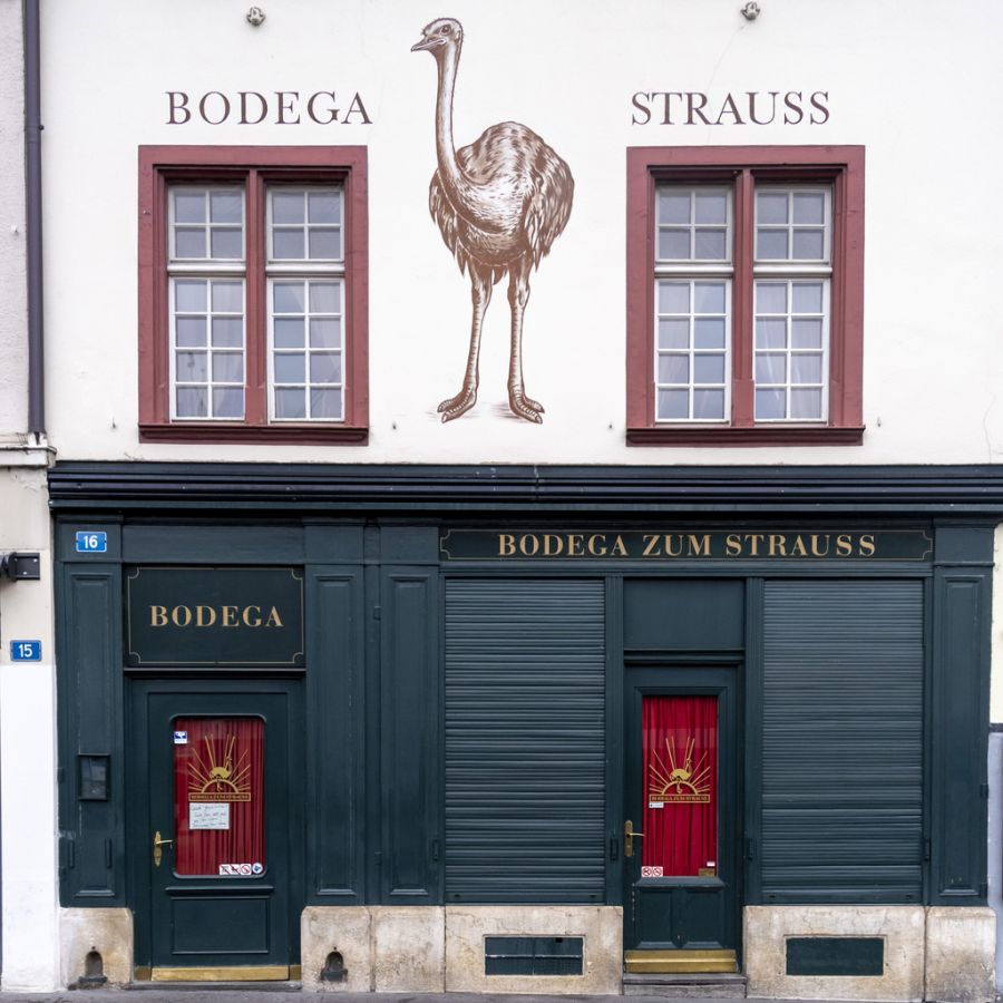 hammer bodega