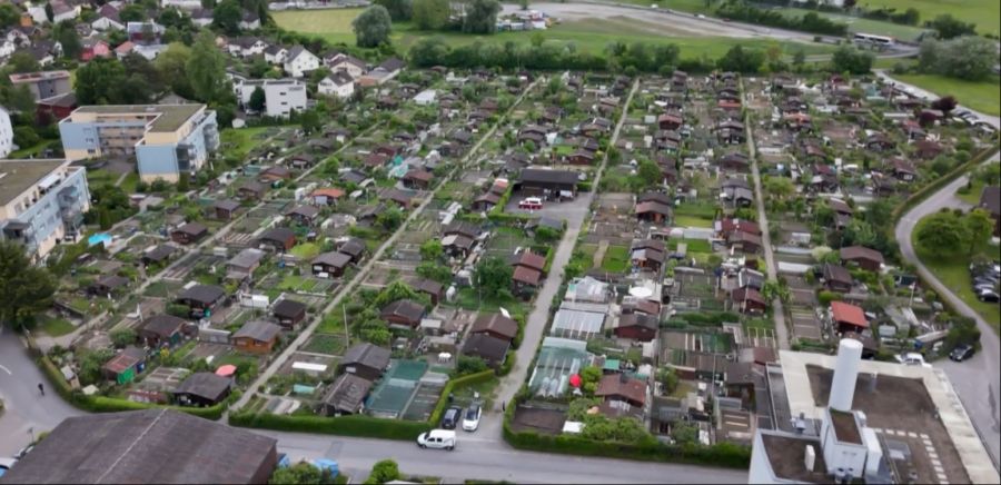 Ein Teil der Schrebergärten am Grabenhof in Kriens LU muss bis Ende Jahr geräumt werden – ein «wichtiger Freiraum» soll entstehen.