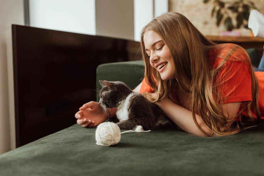 dogsitter betreuung haustier ferien urlaub