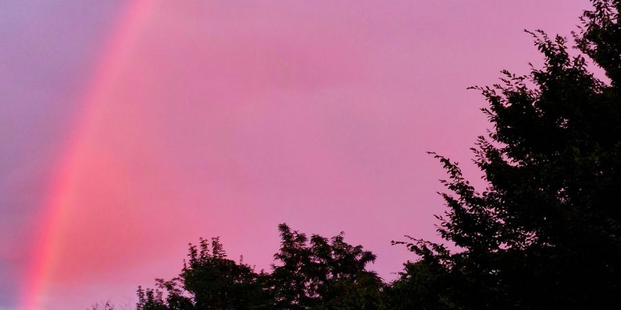 Pinker Regenbogen