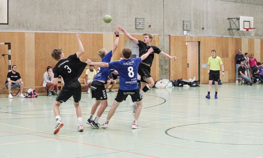 handball basel