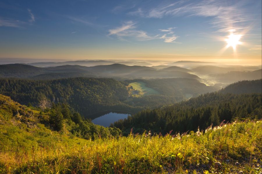 Eine Aussicht, die in Erinnerung bleibt: Der Feldsee im Südschwarzwald kann über Wander- und Fahrradwege erreicht werden.