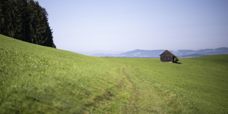 Die Eggersrieter Höhe im Kanton St. Gallen ist eines der Gebiete, in welchem mit PFAS-belastete Flächen festgestellt wurden. Die St. Galler Regierung setzt sich beim nun beim Bund daf...