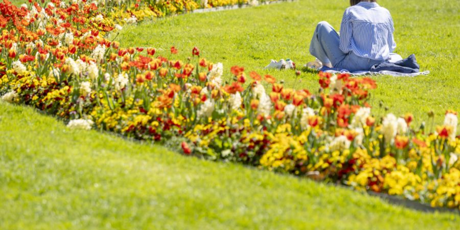 Der April brachte kaum Regen, dafür umso mehr Sonnenschein mit sich. (Archivbild)