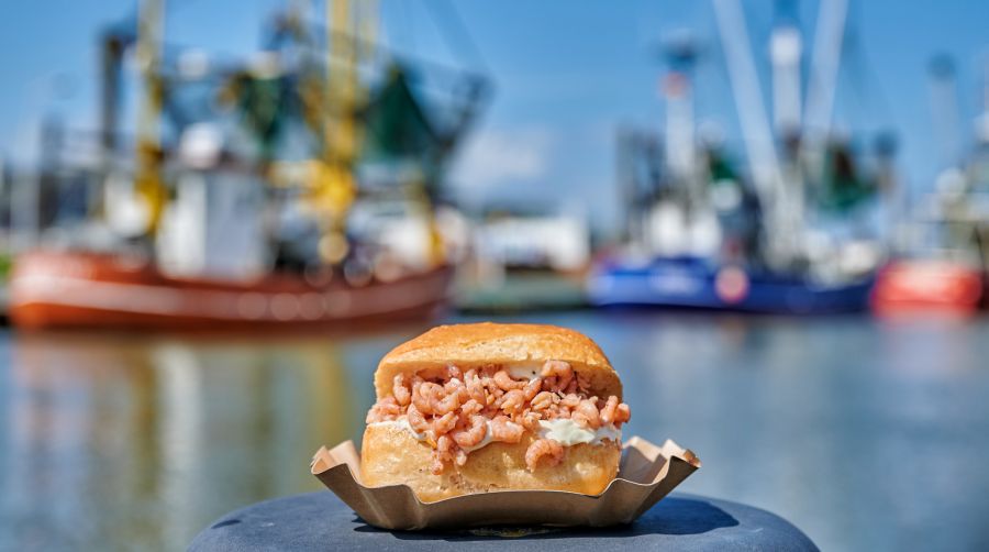 Schnell, unkompliziert und lecker das sind Krabbenbrötchen.