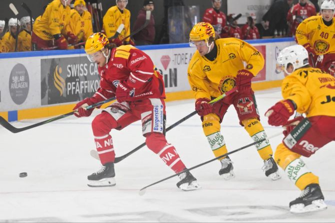 SCL Tigers Rapperswil-Jona Lakers