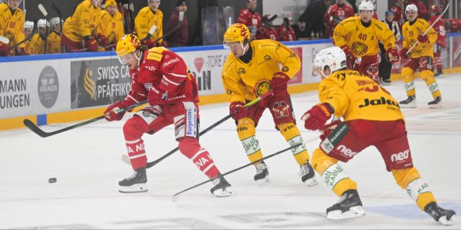 SCL Tigers Rapperswil-Jona Lakers