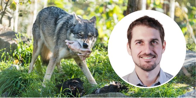 Tobias Sennhauser Wolf Dählhölzli