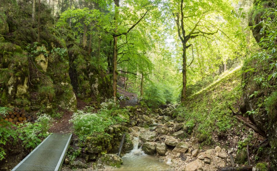Via Berna Jura