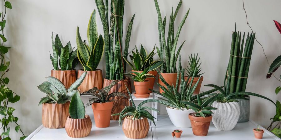 Symbolbild Immobilien