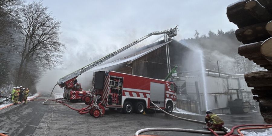Die Feuerwehr hatte den Brand rasch unter Kontrolle.