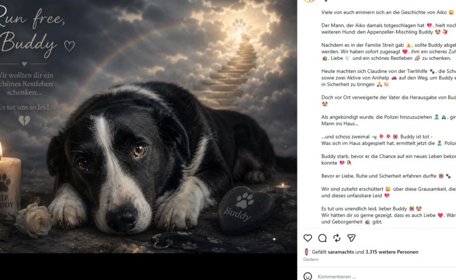 Auf Instagram teilte die Tierschutzorganisation ein KI generiertes Foto von Buddy. Viele nahmen Anteil.