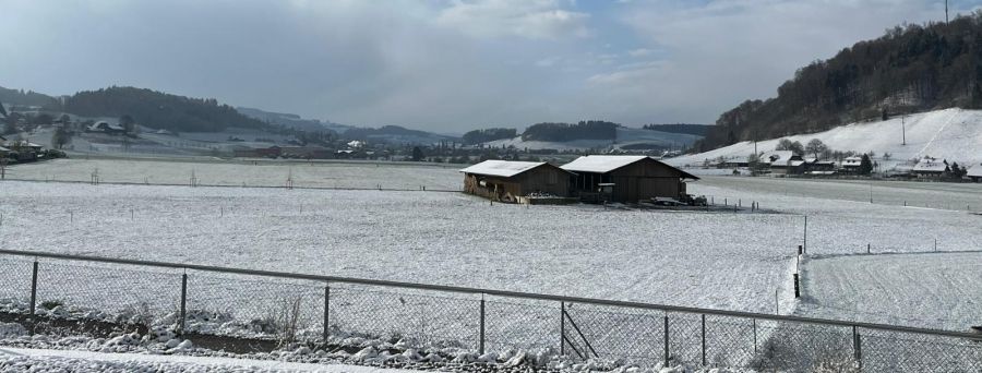 Winterzauber in Boll BE.