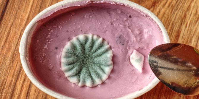 Joghurt Schimmel Löffel rosa