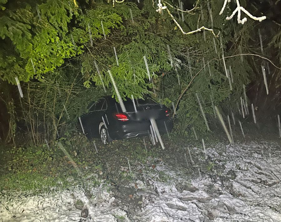 Beim Unfall wurde die Fahrerin verletzt.