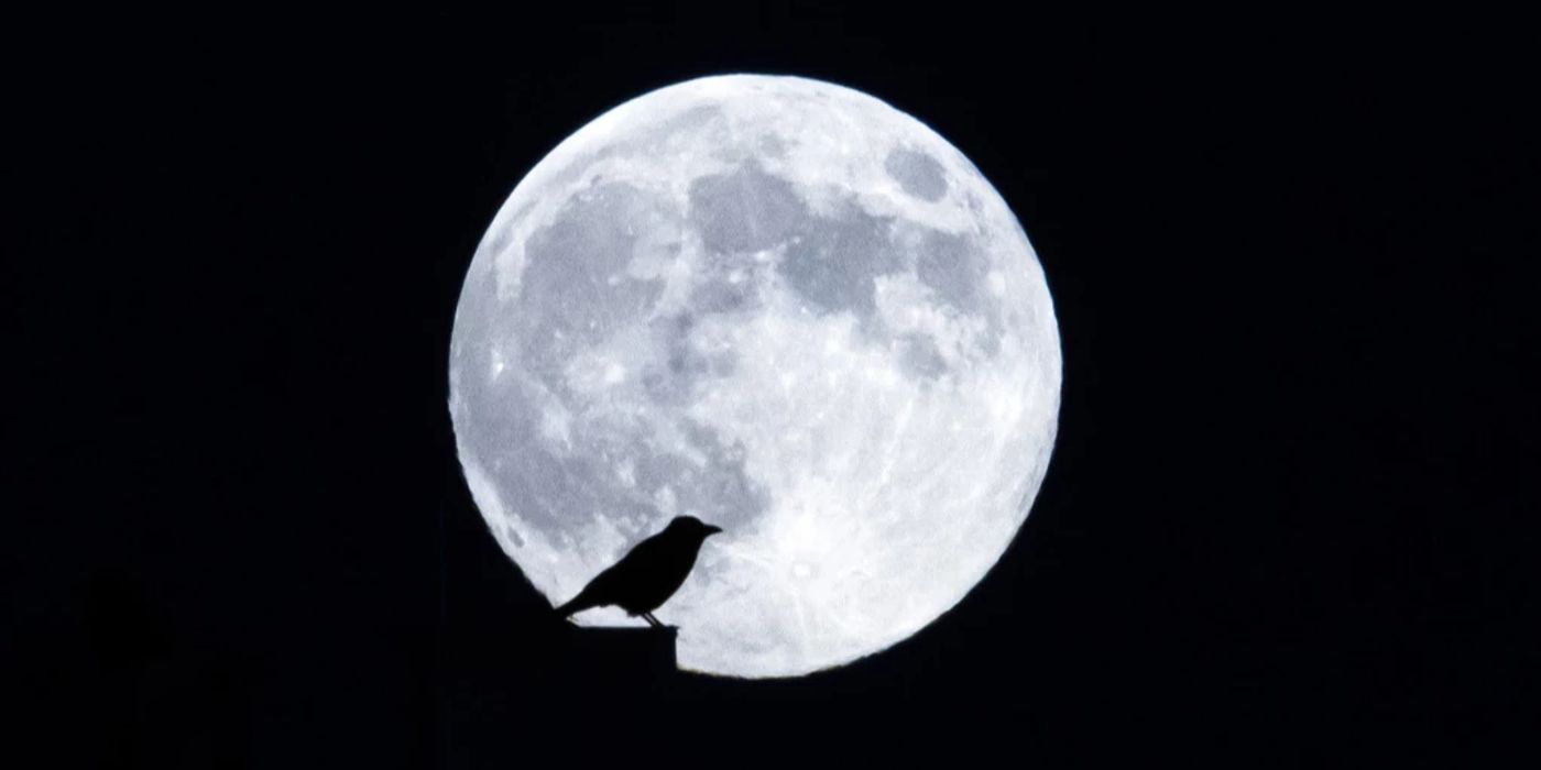 wann ist im märz 2025 vollmond