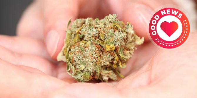 Cannabis Studie Basel Psyche