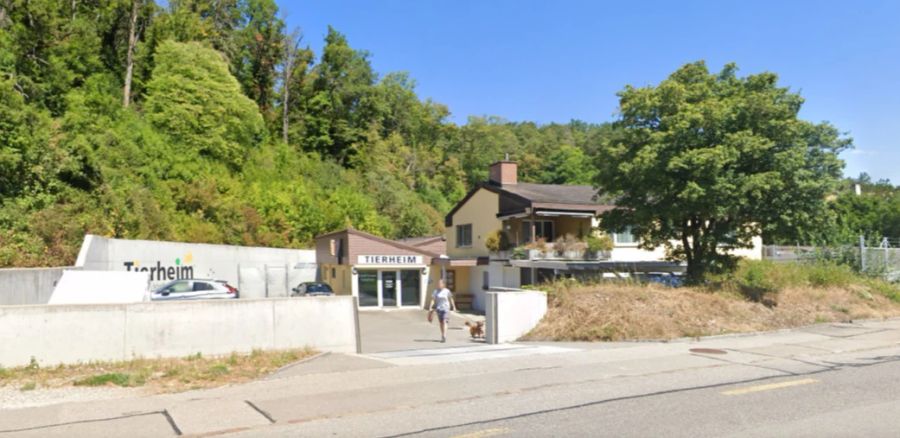 Schaffhausen Tierheim