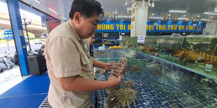 Professor Peter Ng untersucht Riesenasseln auf einem Fischmarkt in Hanoi in Vietnam.