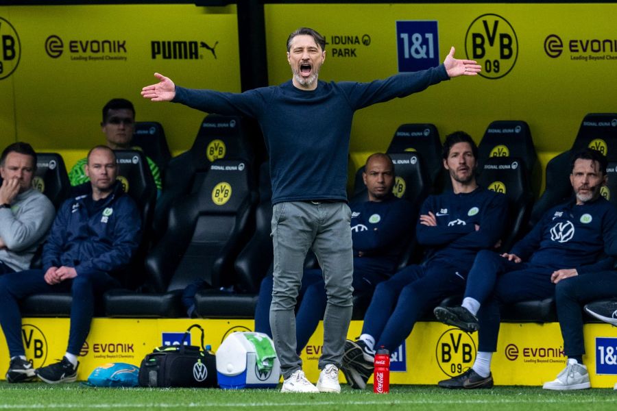 Niko Kovac bvb