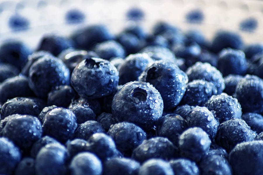 Blaubeeren