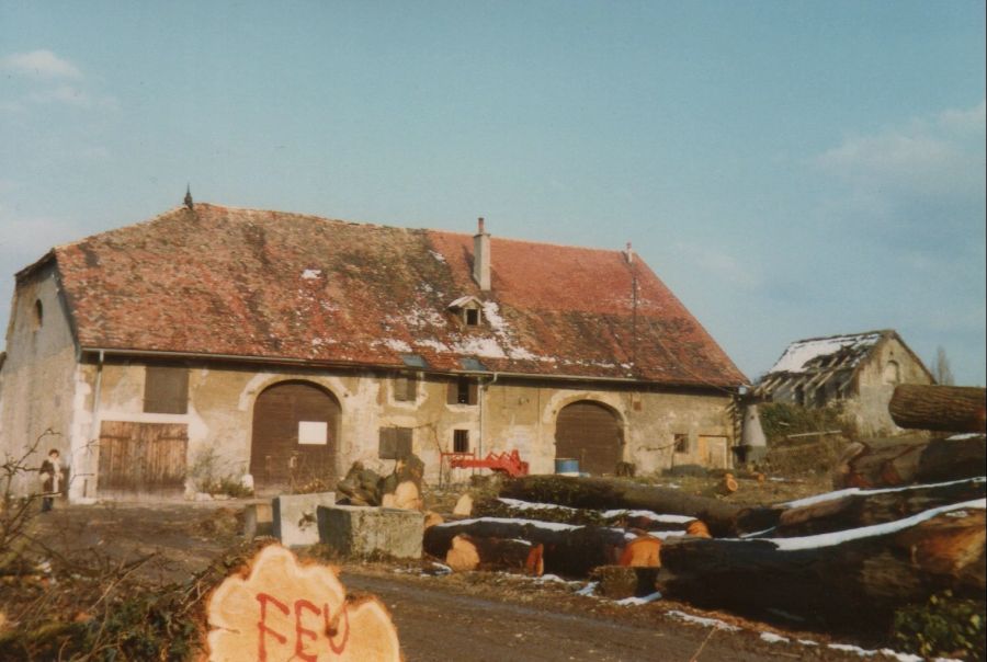 Hier abgebildet: ein Mehrzweckgebäude in Lancy GE, das 1762 bis 1984 dort stand. Es wurde im Freilichtmuseum Ballenberg wiederaufgebaut.