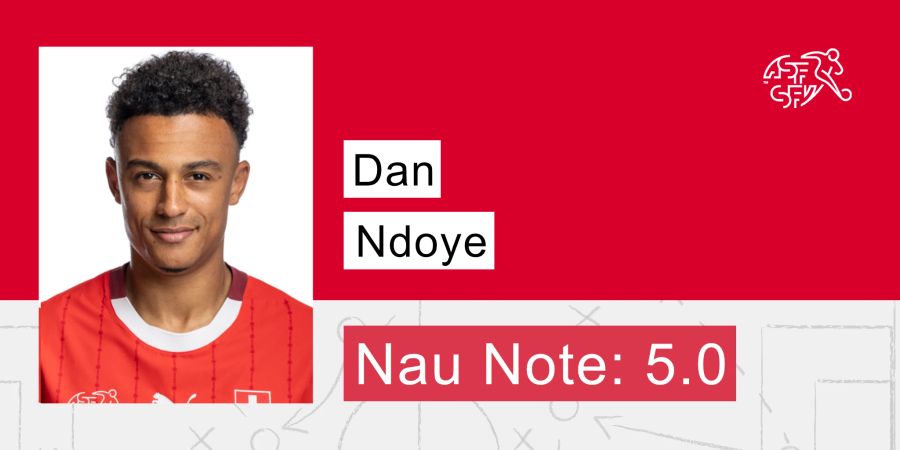 Dan Ndoye