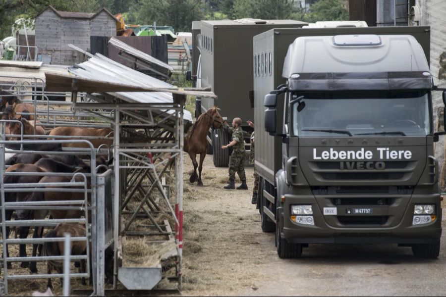 Seit dem Tierschutzfall Hefenhofen TG gibt es Begleitgruppen für schwierige Fälle.