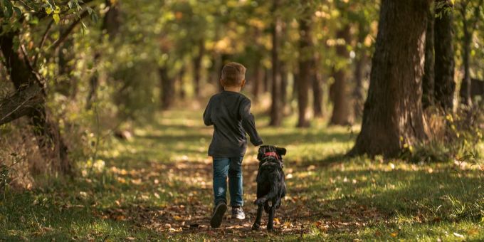 Bei einem gewöhnlichen Spaziergang mit dem Hund machte ein Junge aus Sussex, England, eine unglaubliche Entdeckung. (Symbolbild) Junge und Hund Wald