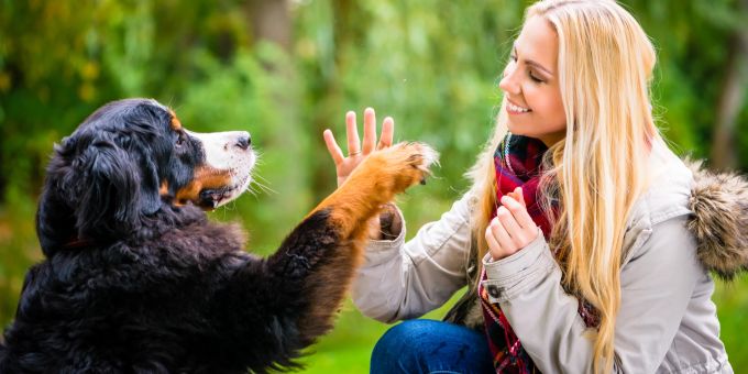 Martin Rütter hilft jedem Hund sein Herrchen oder Frauchen zu verstehen. Und meistens auch andersrum. Blonde Frrau mit Berner Sennenhund.