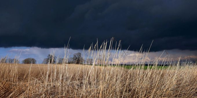 Gewitterwolken ziehen über ein Feld. (Symbolbild) Gewitterwolken ziehen über ein Feld: Das Wetter am Abend ist durchwachsen.